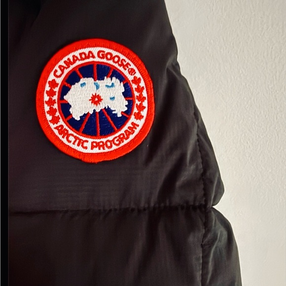 Canada goose